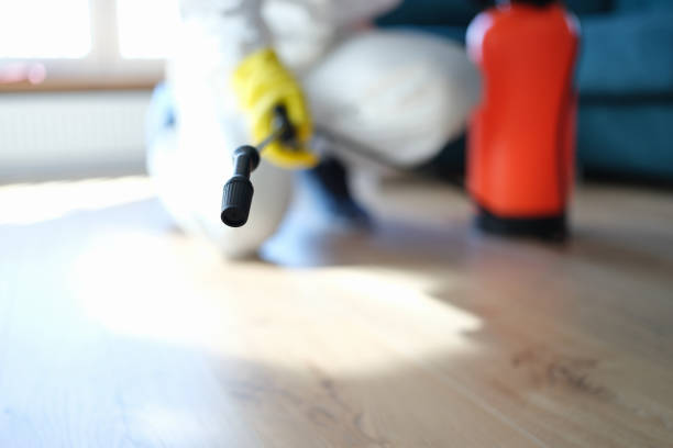 Best Airborne Mold Testing  in Sewalls Point, FL